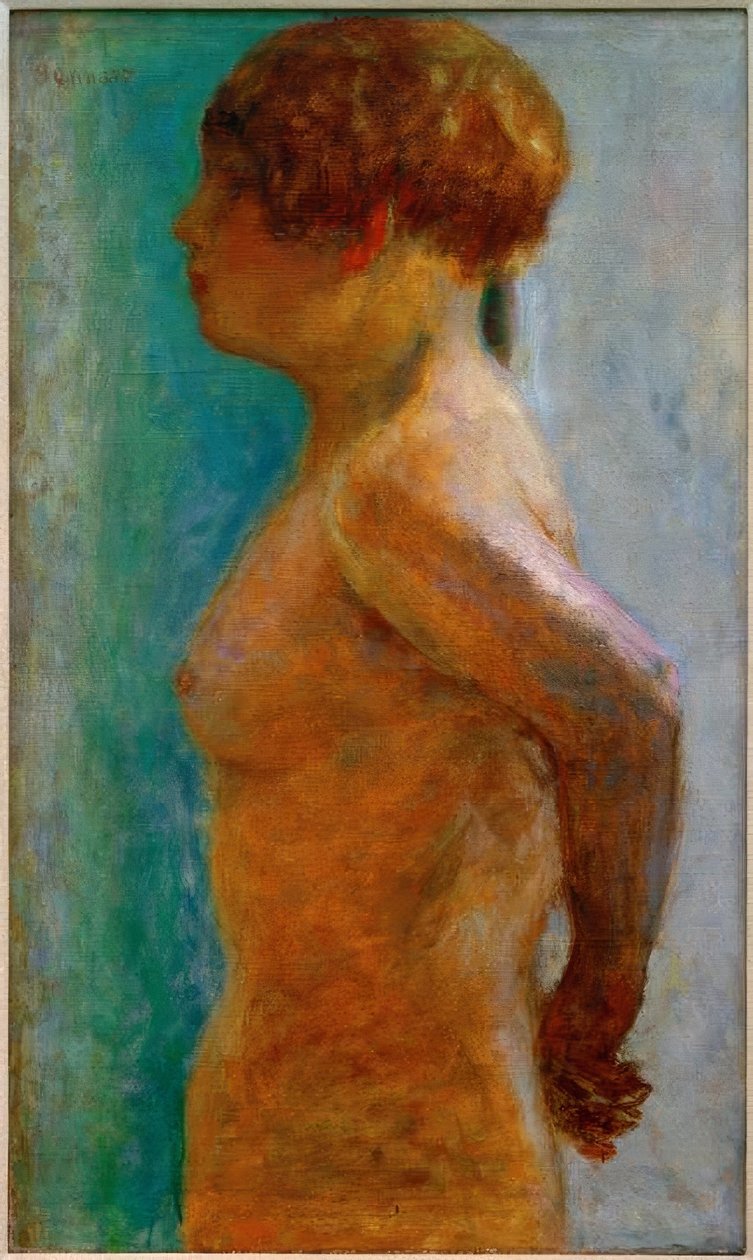 Profildeki kadın gövde by Pierre Bonnard