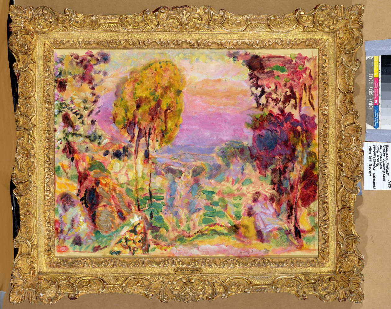 Menekşe Kırsal by Pierre Bonnard