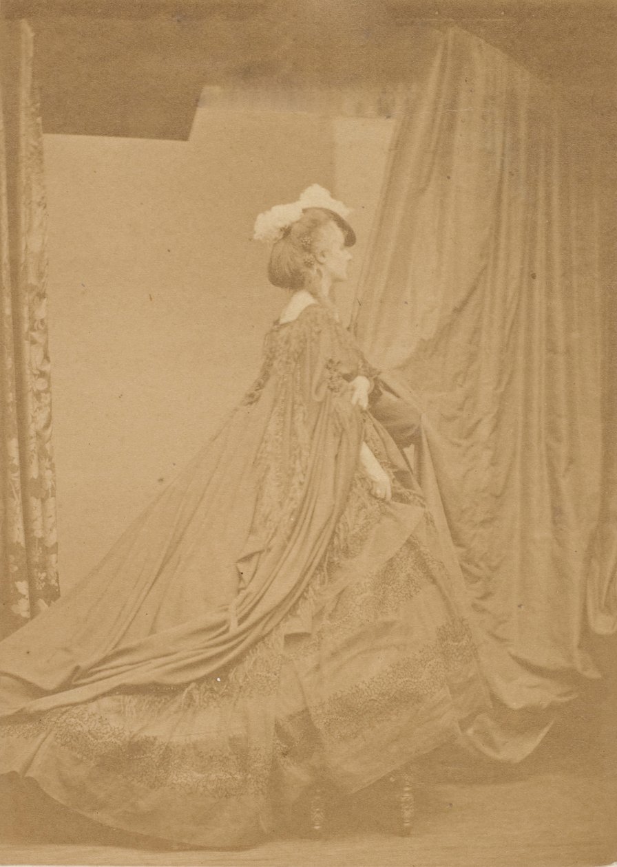 Diğer Tüylü Şapka, 1860