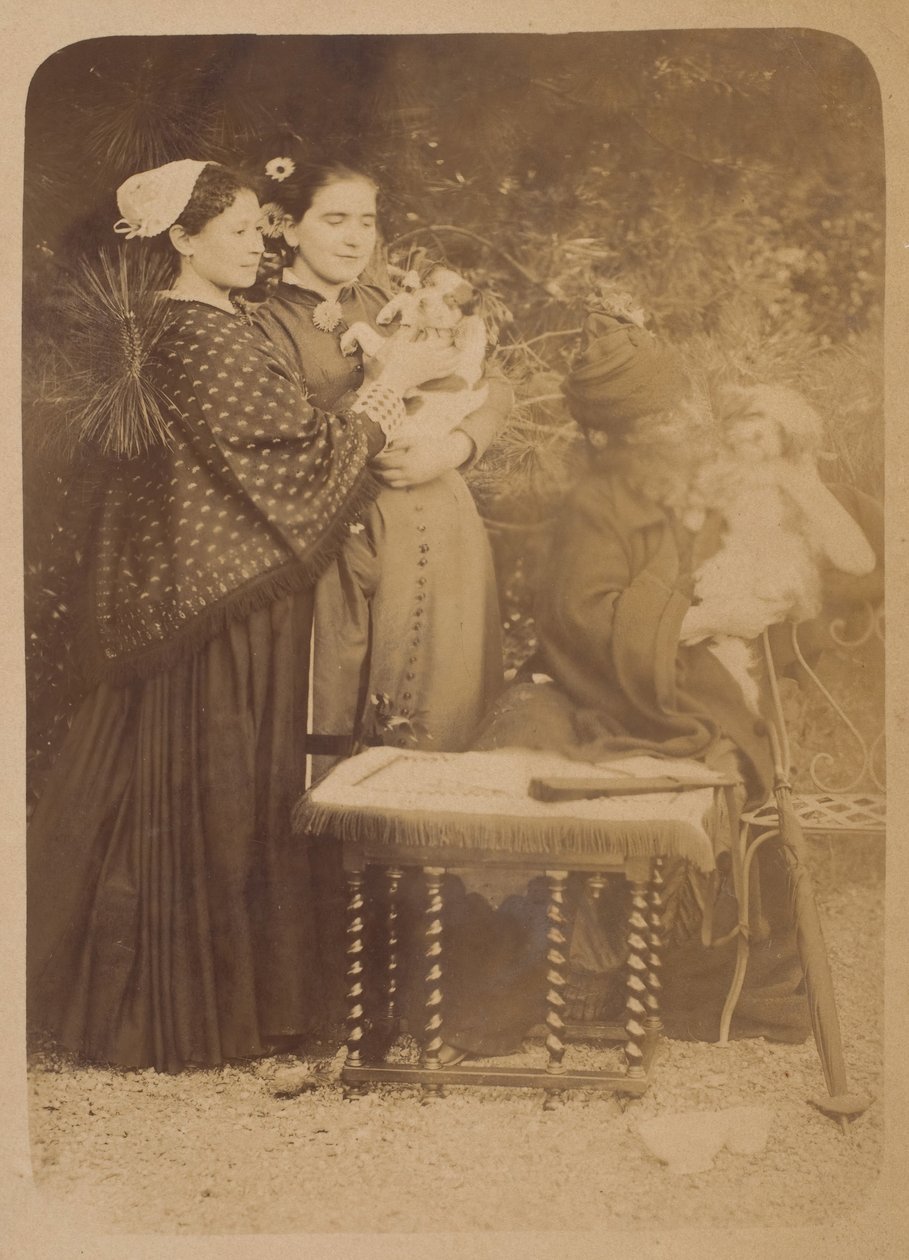 Köpekler, 1860