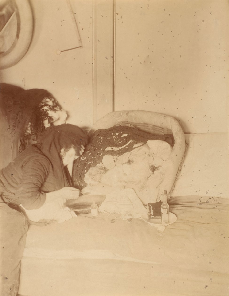 Köpekler, 1875-80. by Pierre Louis Pierson