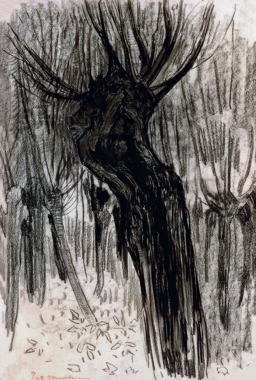 Söğütler, 1902-1904, by Piet Mondrian