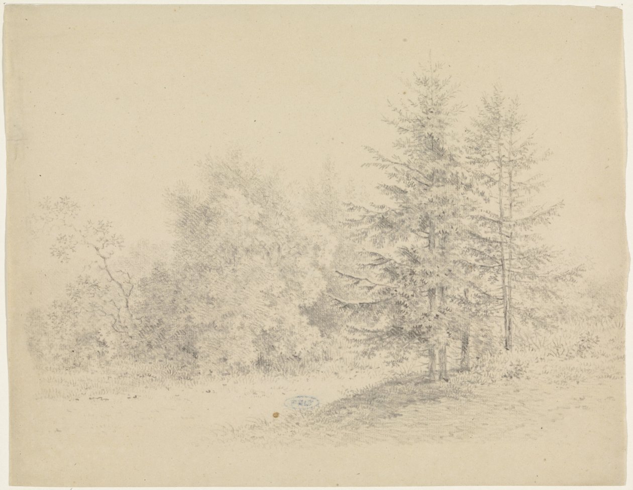 Çam ağaçları ile orman manzarası by Pieter Bartholomeusz. Barbiers