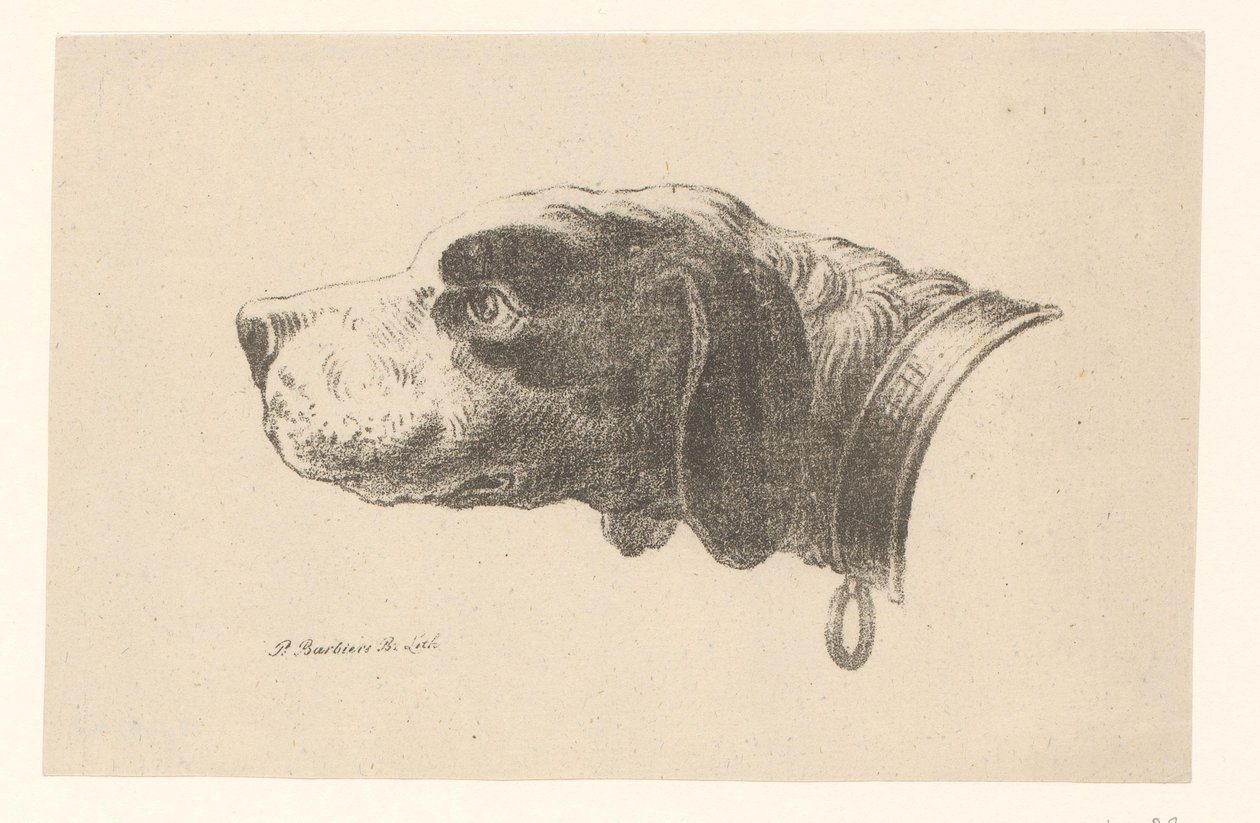 Yakalı köpek kafası by Pieter Bartholomeusz. Barbiers