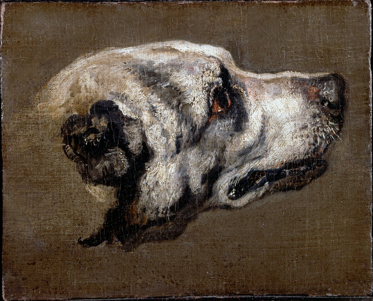 Bir Hound Başkanı by Pieter or Peter Boel