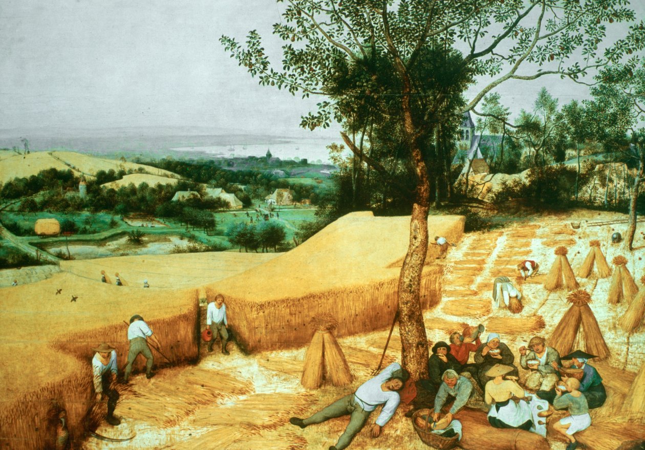 Biçerdöverler, 1565 by Pieter Bruegel the Elder