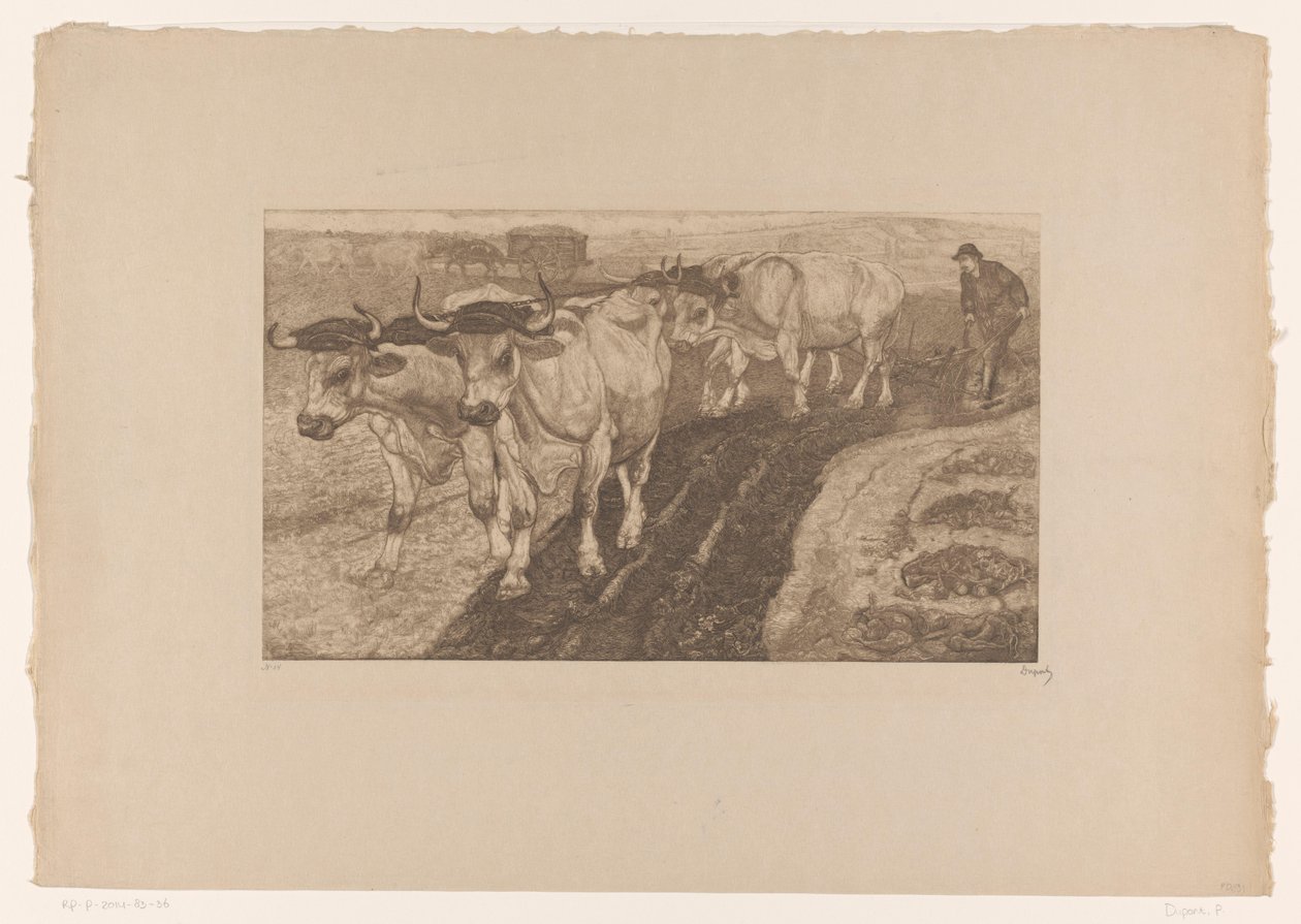 Çiftlik Öküz by Pieter Dupont (signed by artist)