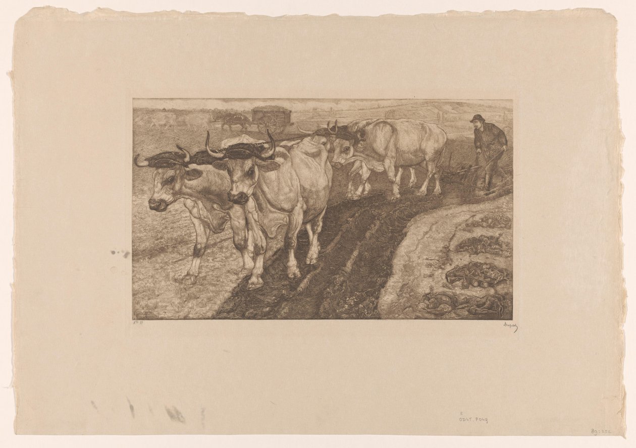 Dört çiftçilik öküz by Pieter Dupont (signed by artist)