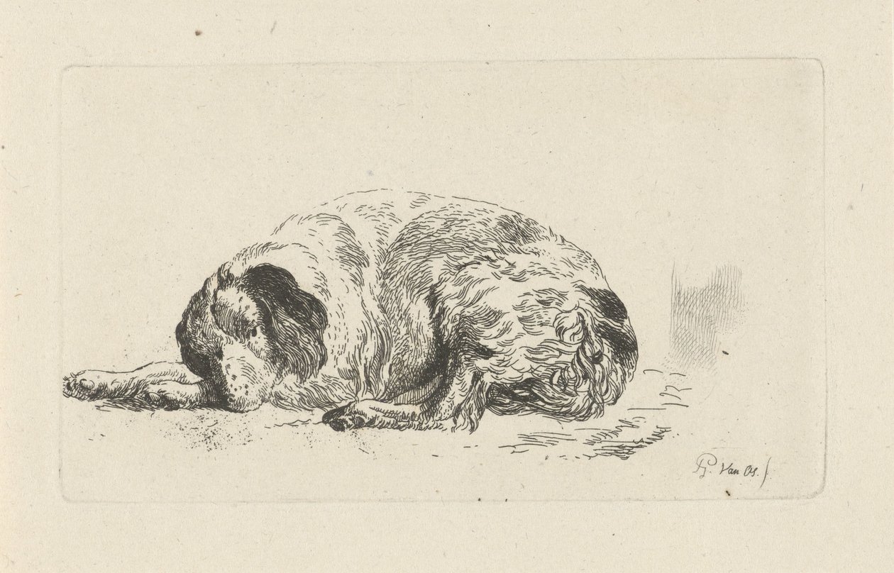 yalancı köpek by Pieter Gerardus van Os