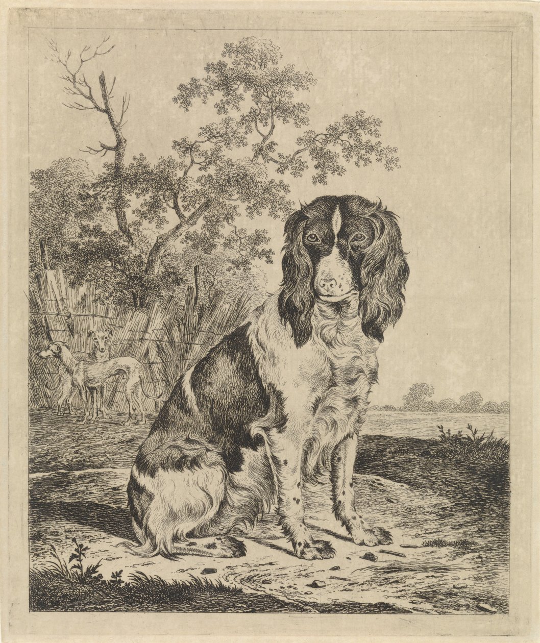 oturan keklik köpek by Pieter Janson