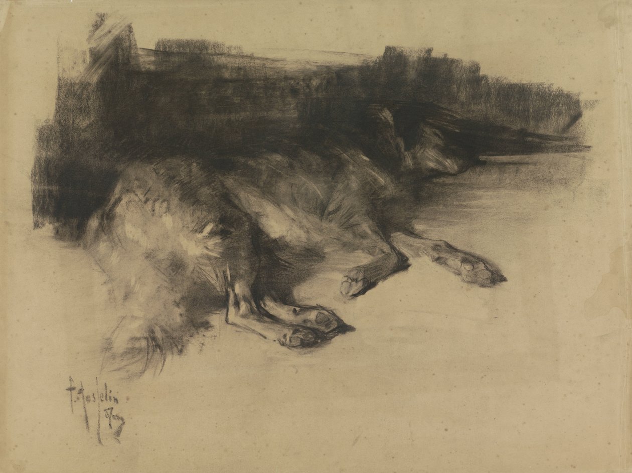 Yalan, uyuyan köpek by Pieter de Josselin