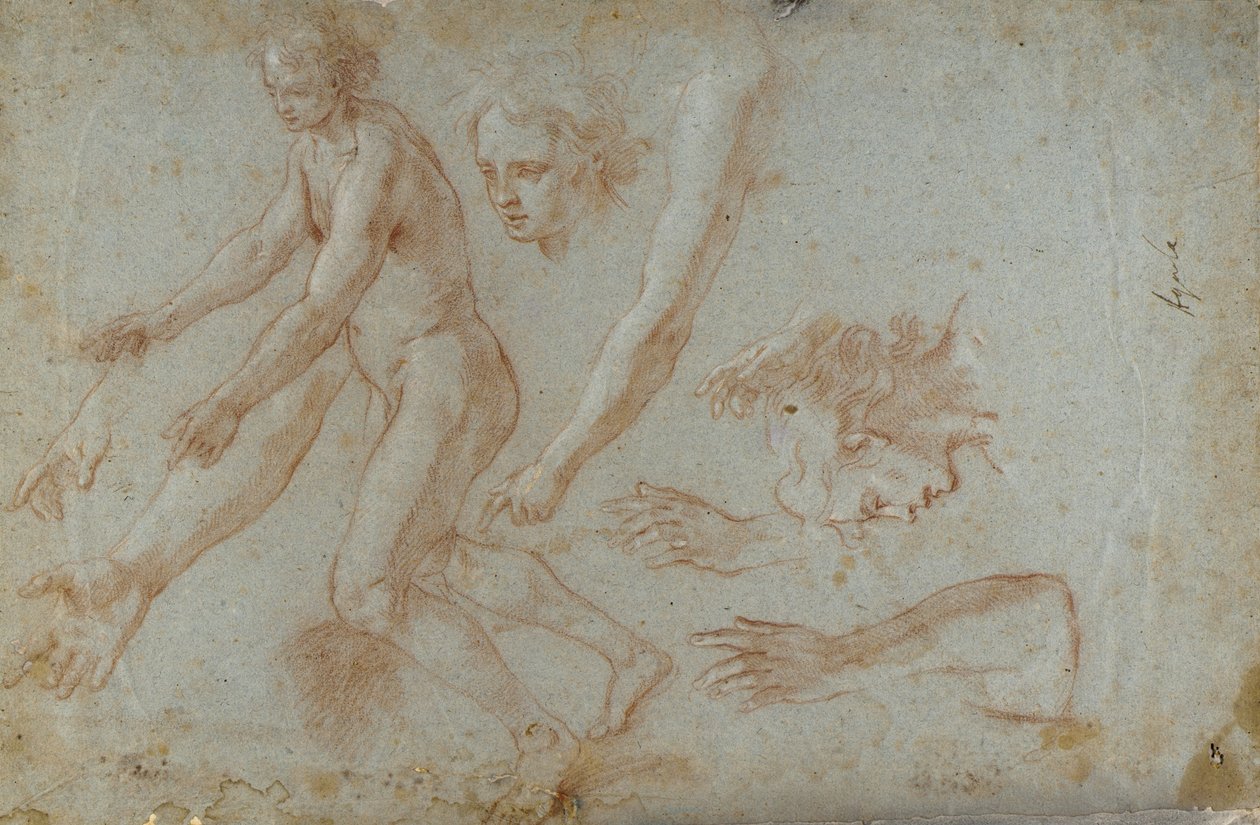  by Pietro Aquila