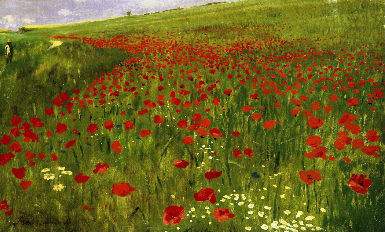 haşhaşlı çayır by Pál Szinyei Merse
