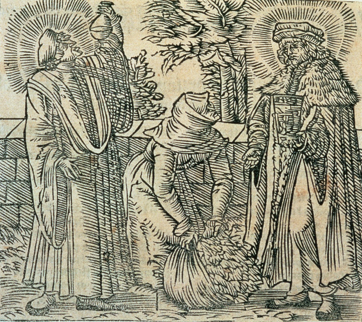 Tıp için Ot Toplama, 1534 by Polish School