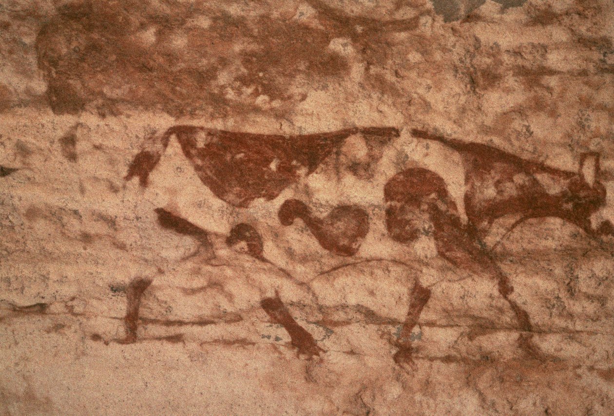 Bir inek (duvar resmi) by Prehistoric