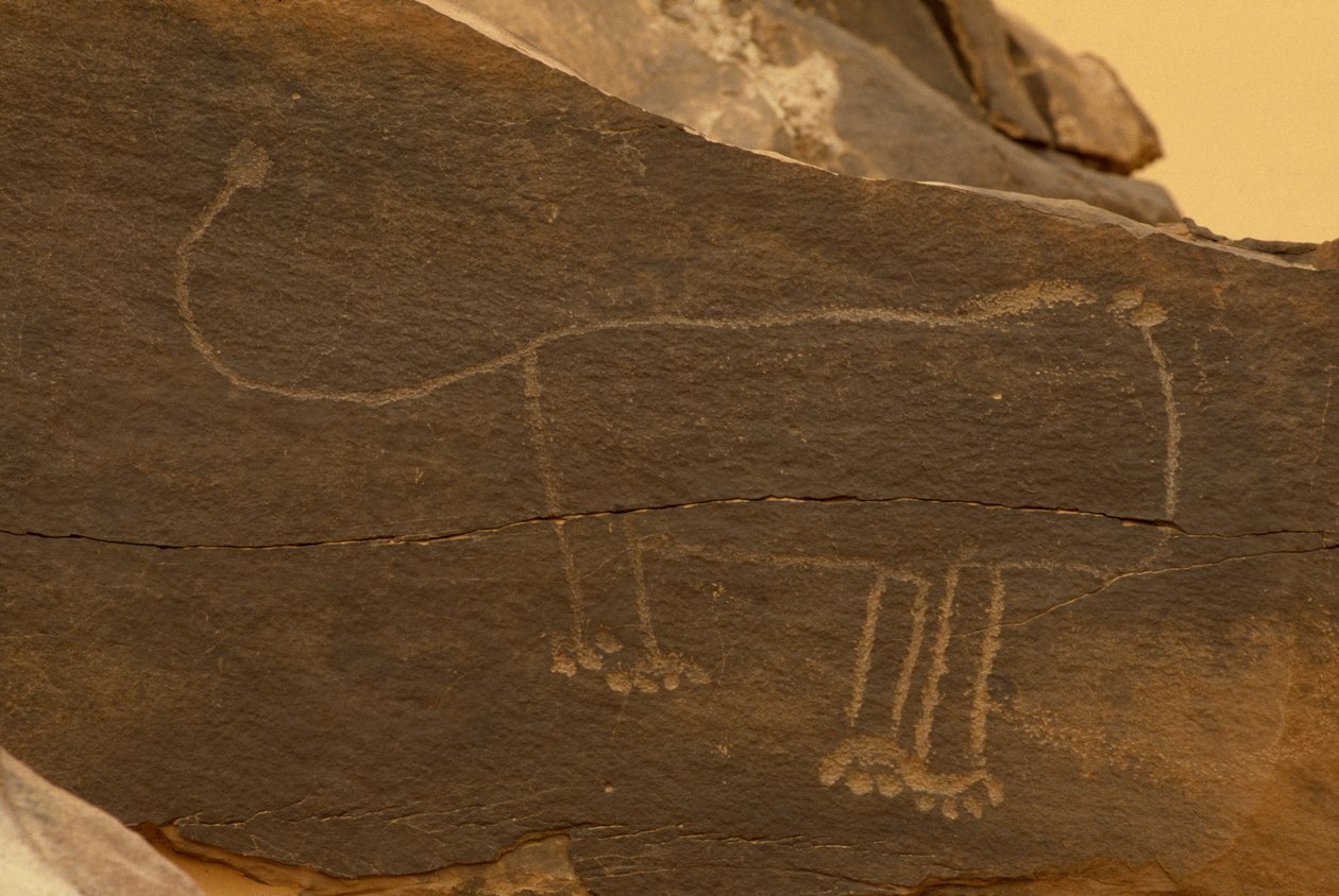 ಪ್ರಾಣಿ (ರಾಕ್ ಕೆತ್ತನೆ) ಟರ್ಕಿ by Prehistoric