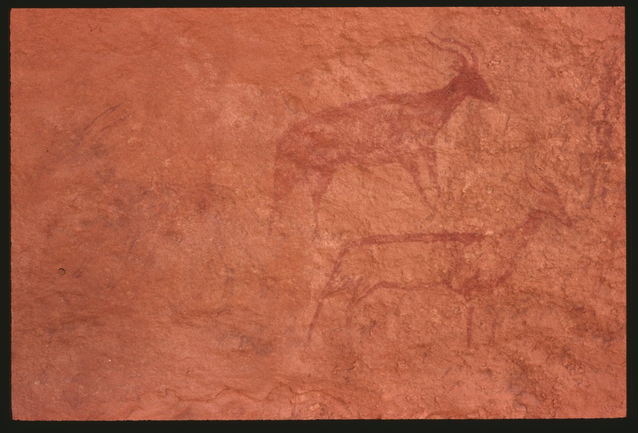 ಹಸುಗಳು (ರಾಕ್ ಪೇಂಟಿಂಗ್) ಟರ್ಕಿ by Prehistoric