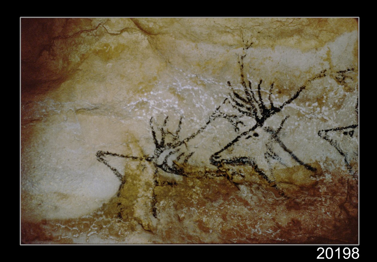Geyik frizi, c.17000 M.Ö. by Prehistoric