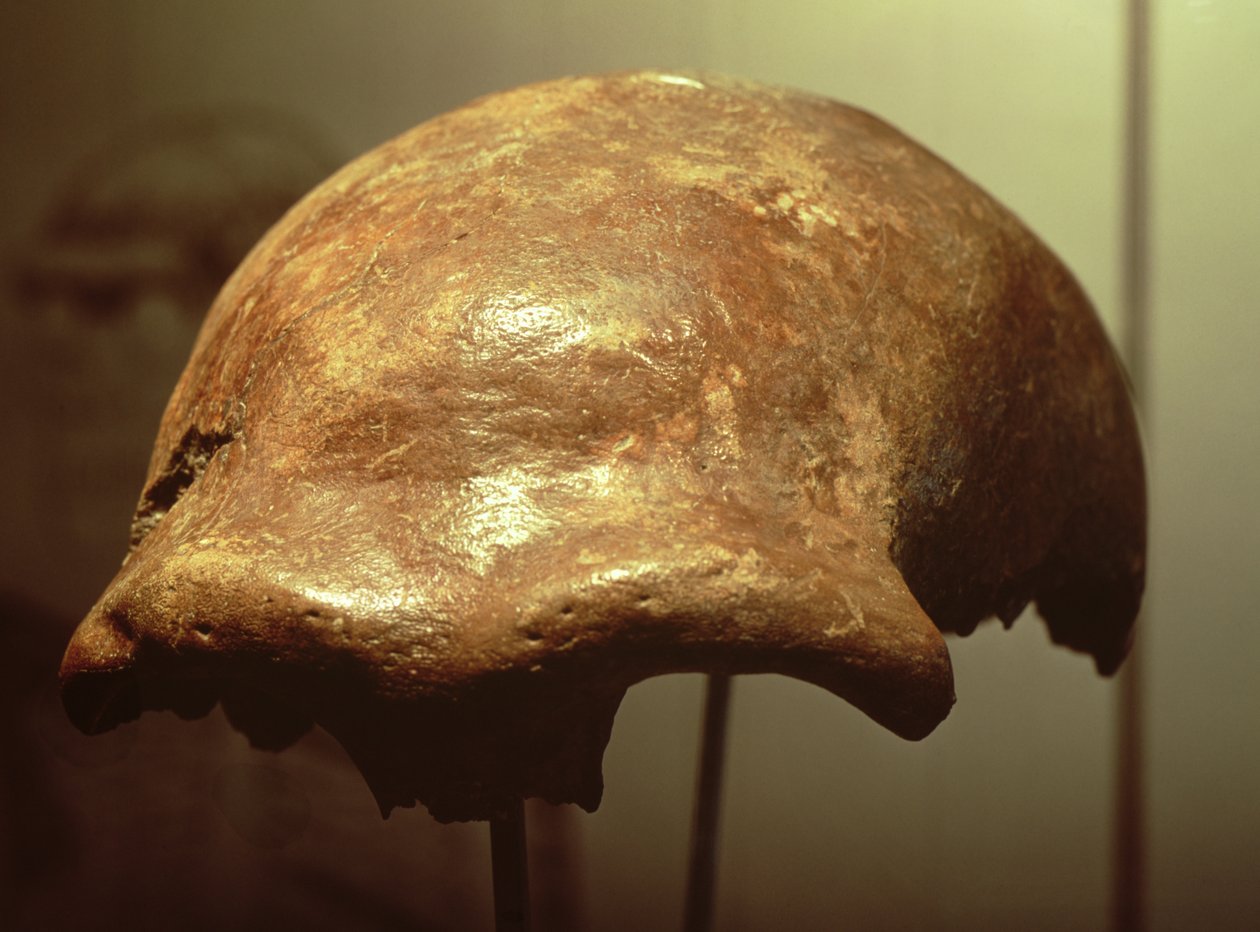 Bir Neandertal