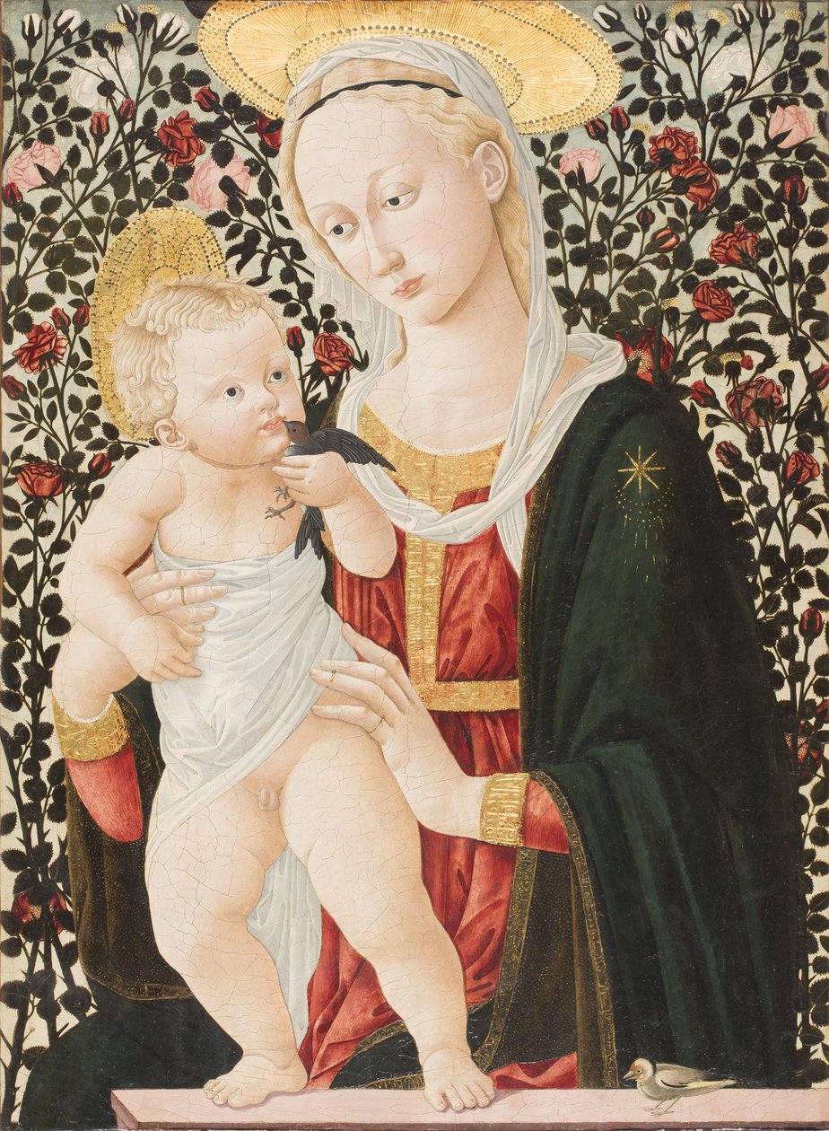 Güllerin Madonna