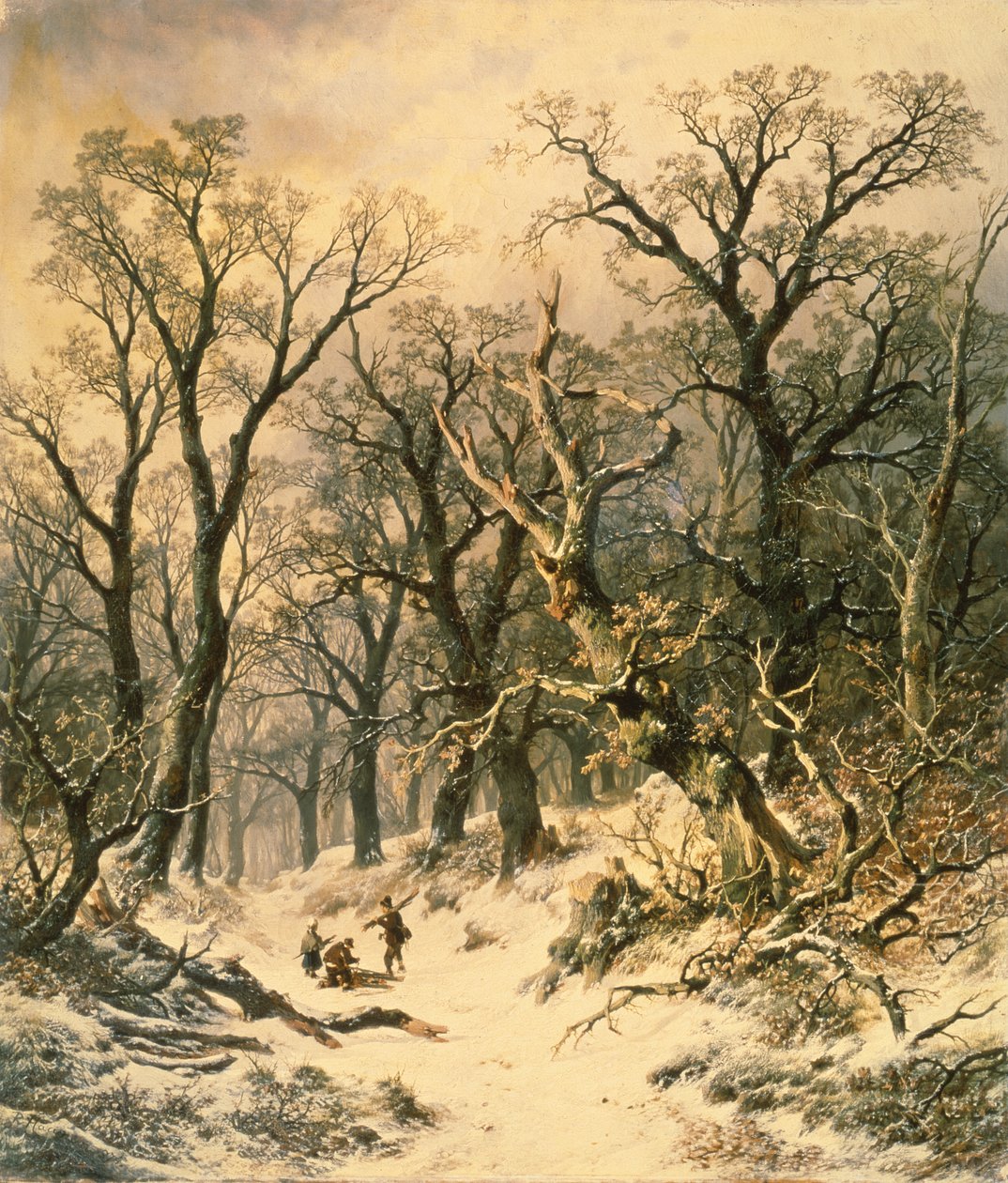 Orman by R. Van Hannen