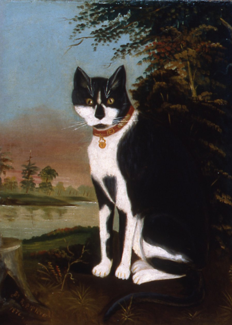 Köyün Kenarından Minnie, 1876 by R.P. Thrall