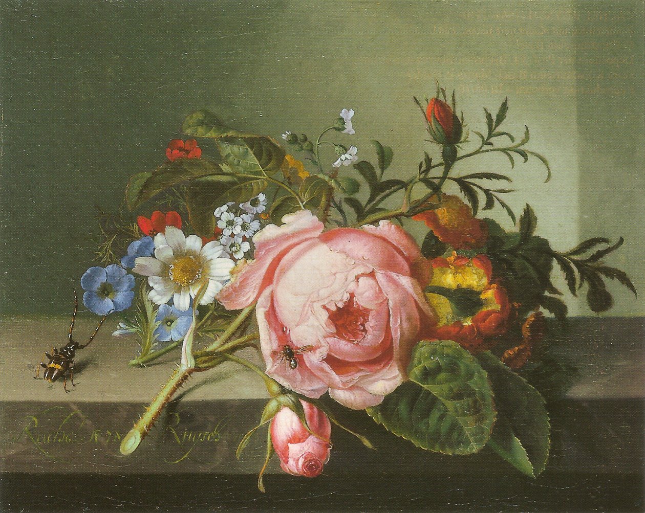 Böcek ve arı ile gül dalı by Rachel Ruysch