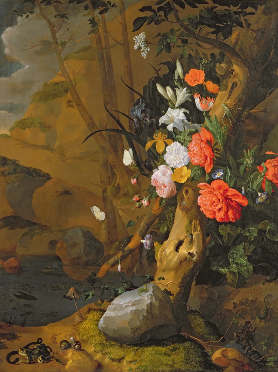 Bilinmeyen resim by Rachel Ruysch