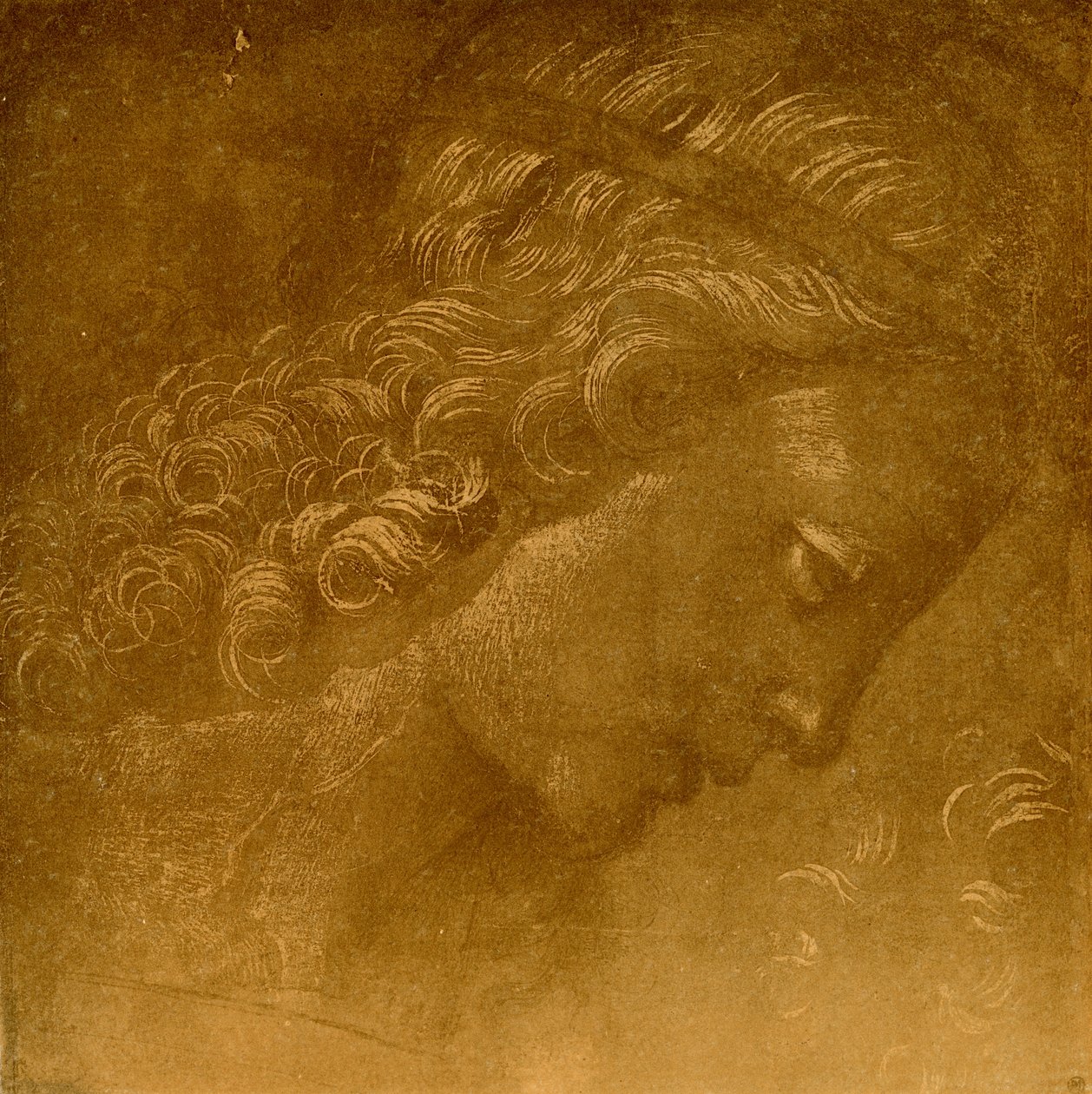 Bir melek kafası üzerinde çalışma by Raffaellino del Garbo