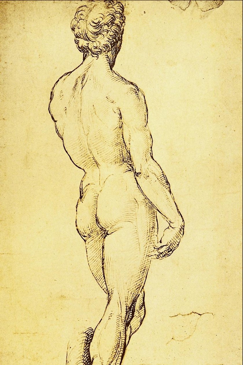çıplak çalışma by Raffaello Sanzio Raphael