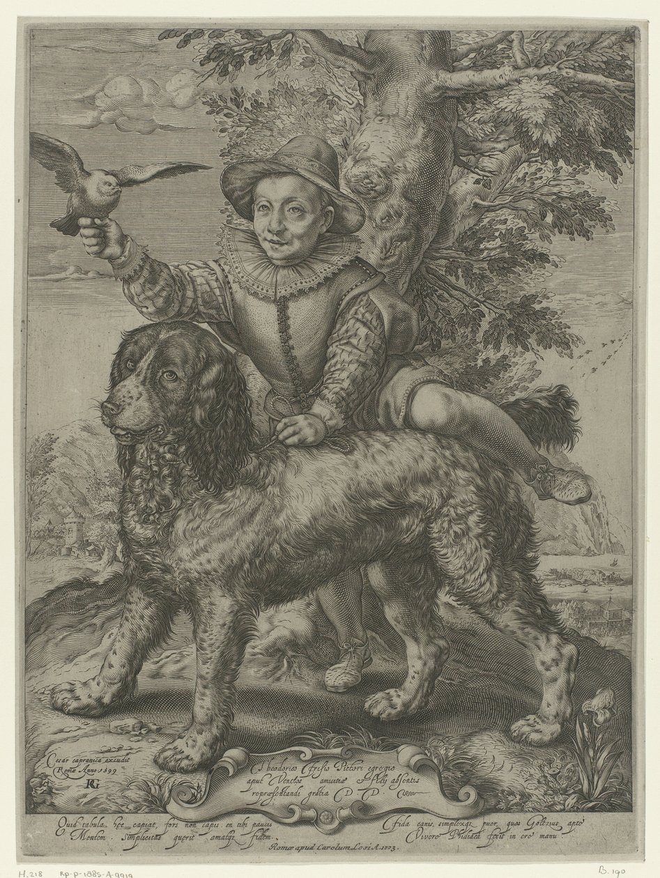 Frederik de Vries