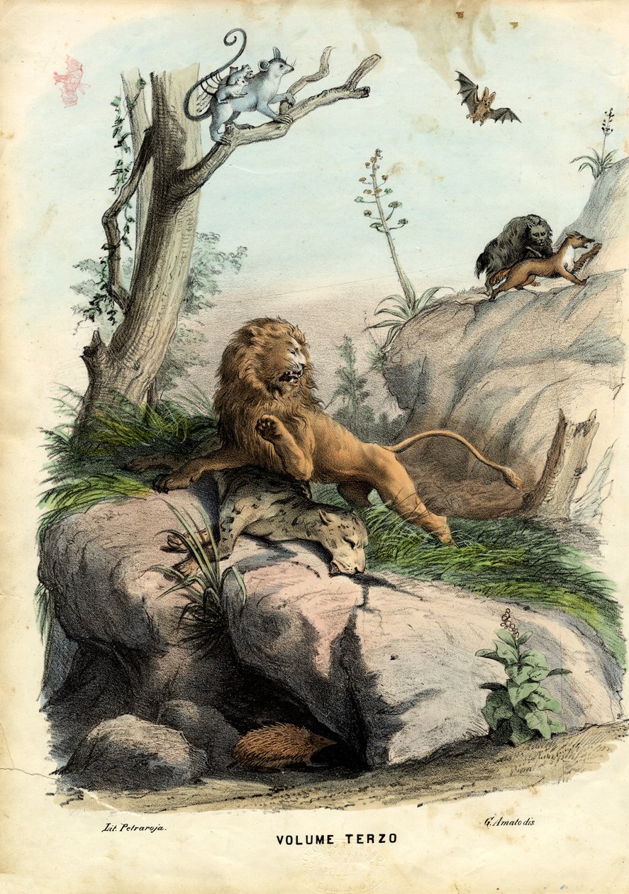 Başlık Sayfası, 1863-79 by Raimundo Petraroja