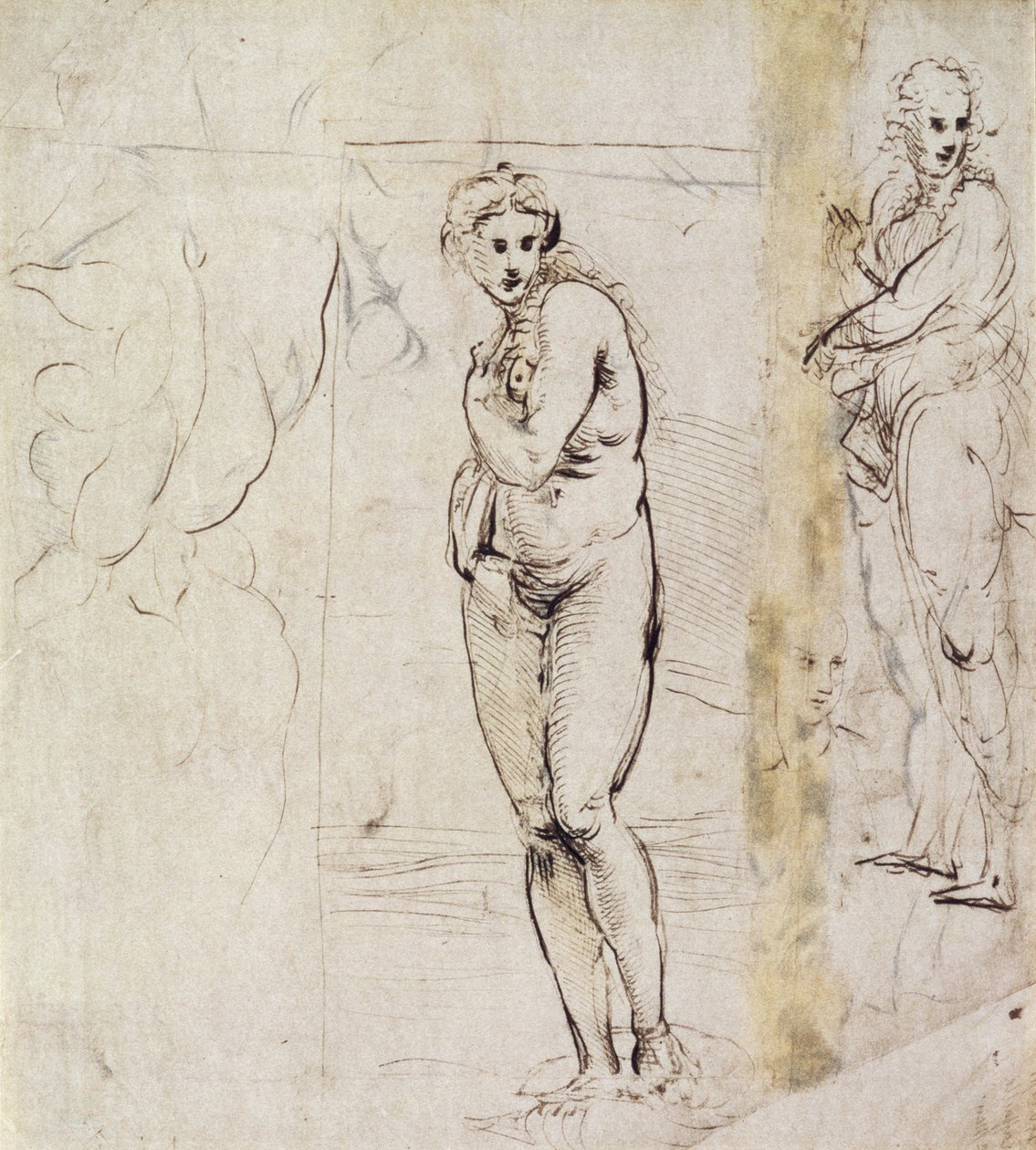Venüs Çalışması (kalem ve mürekkep) by Raffaello Sanzio Raphael