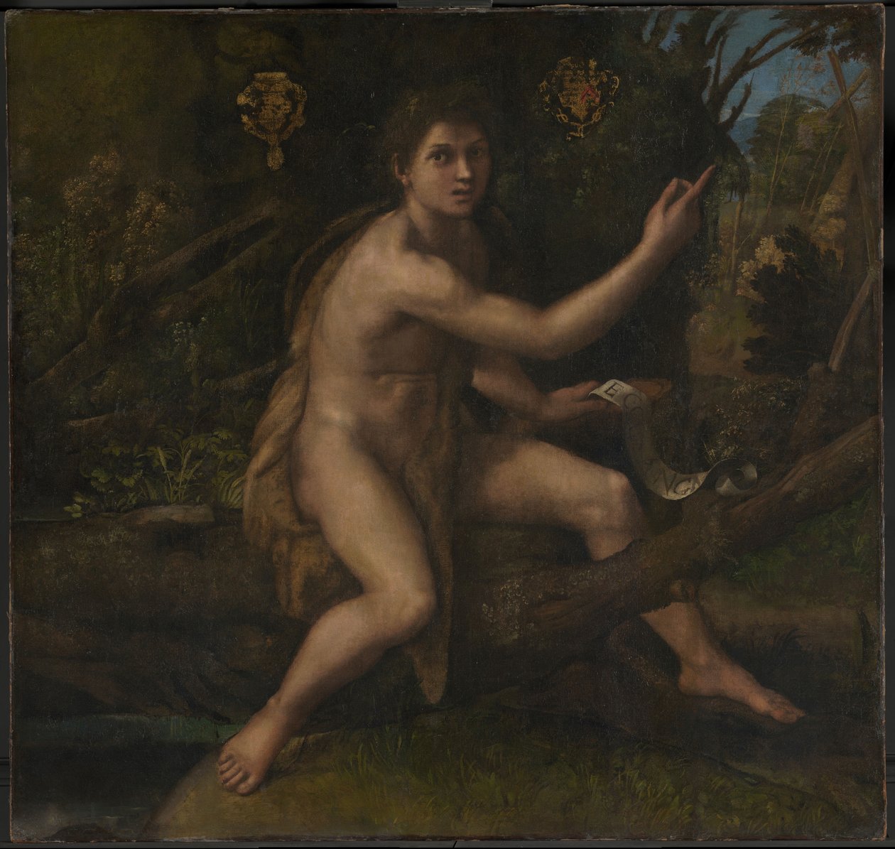 Aziz John the Baptist by Raphael (1483 1520)