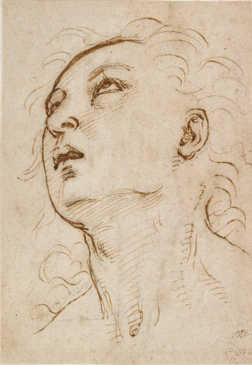 Yukarı bakan genç bir adamın başı, c1497-c1504 by Raphael
