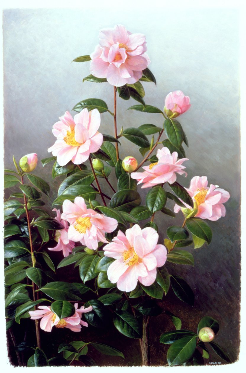  by Raymond Booth