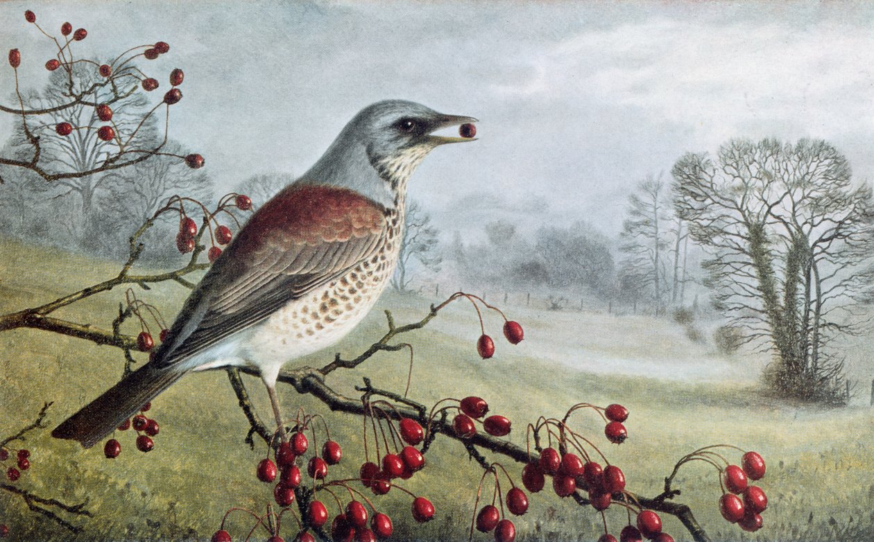  by Raymond Booth