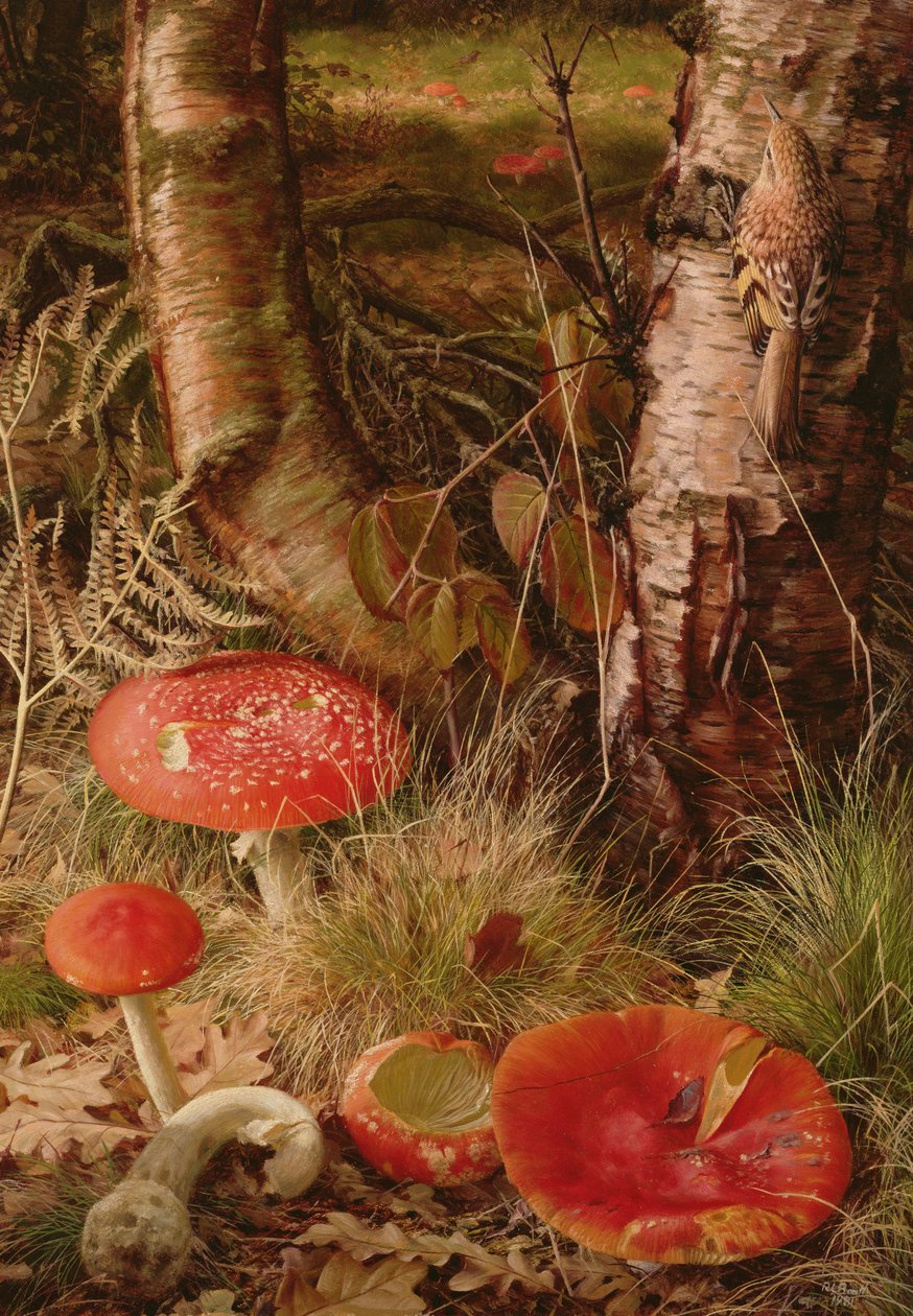  by Raymond Booth