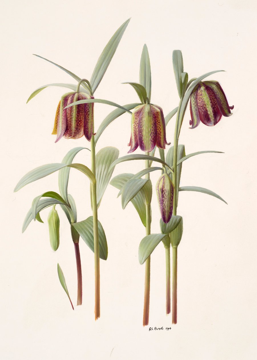  by Raymond Booth