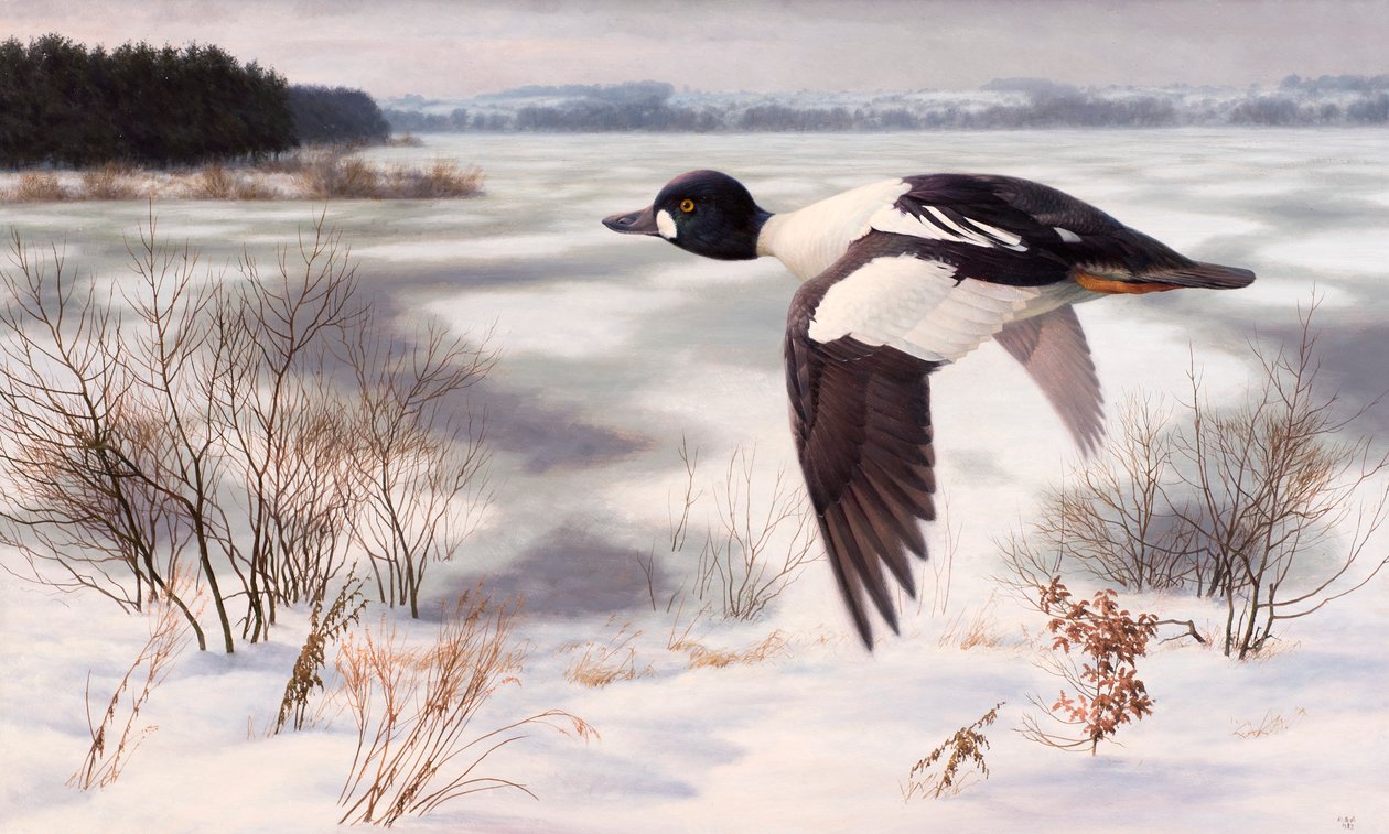  by Raymond Booth