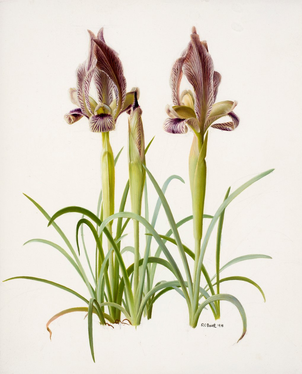  by Raymond Booth