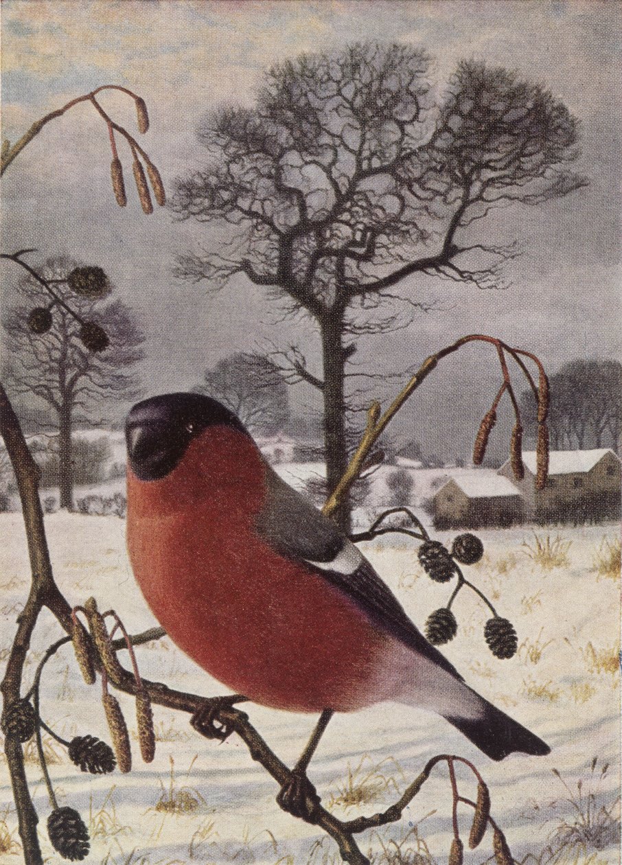  by Raymond Booth