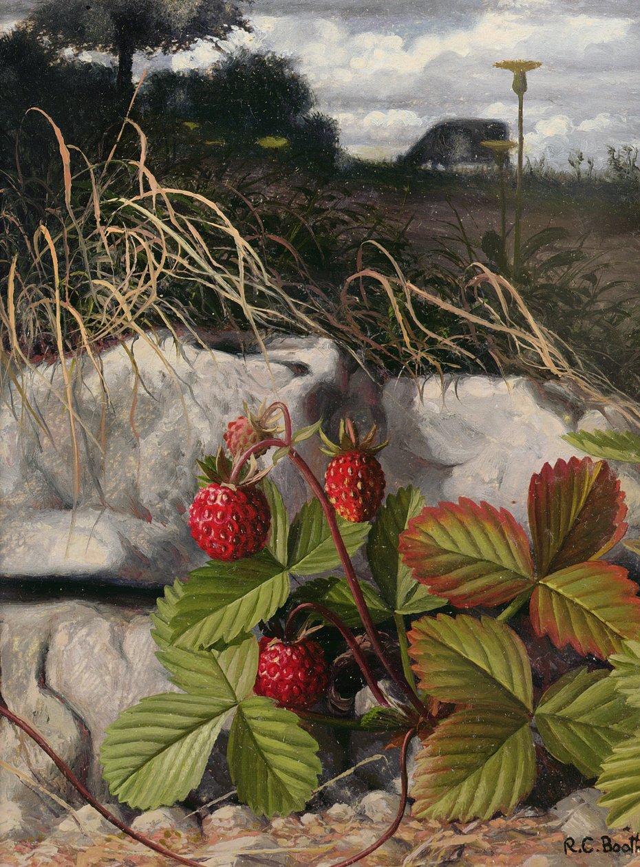  by Raymond Booth