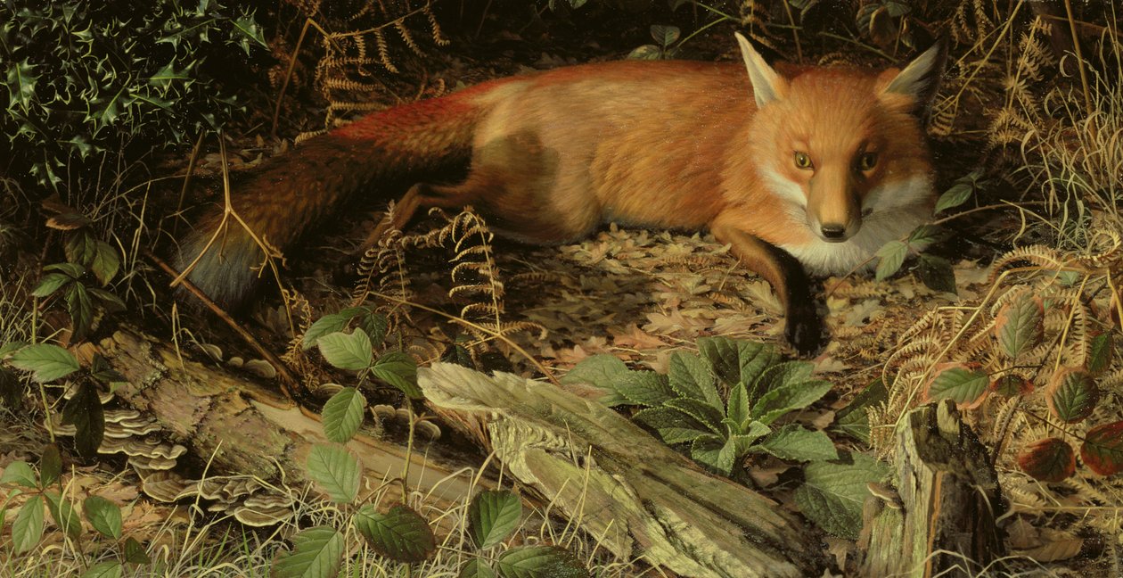  by Raymond Booth