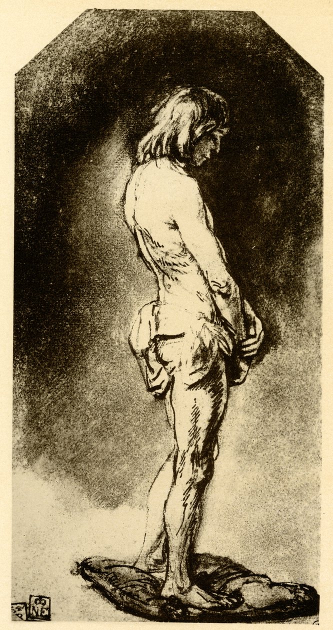 erkek çıplak by Rembrandt van Rijn