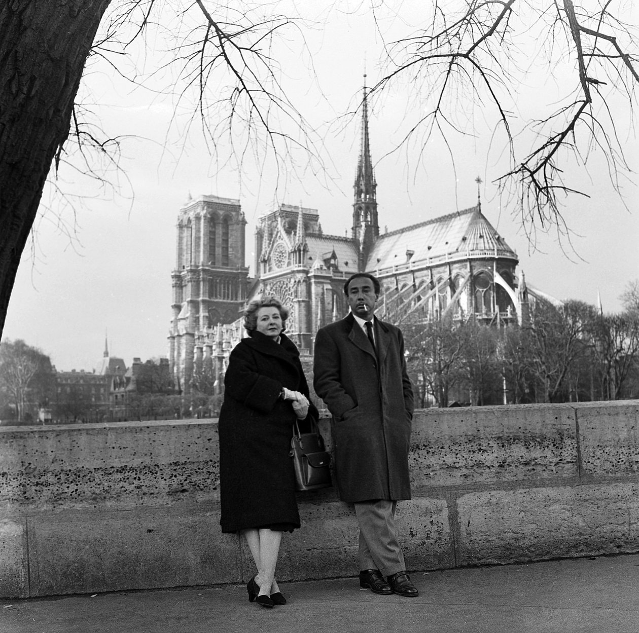  by René Saint Paul