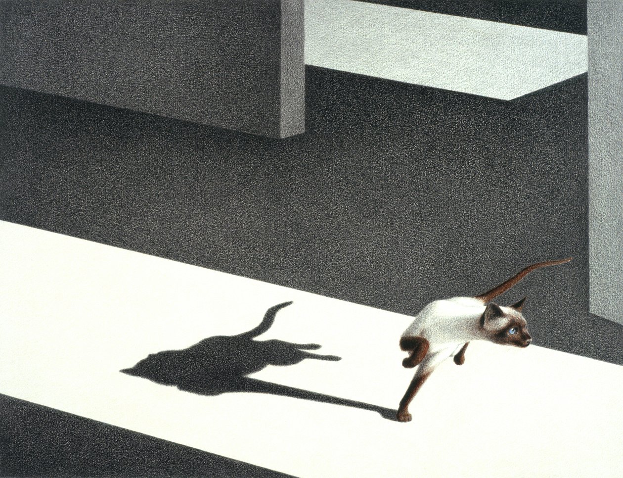 Köşe by Rene Boin