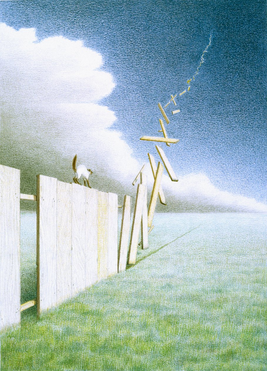 Çit by Rene Boin