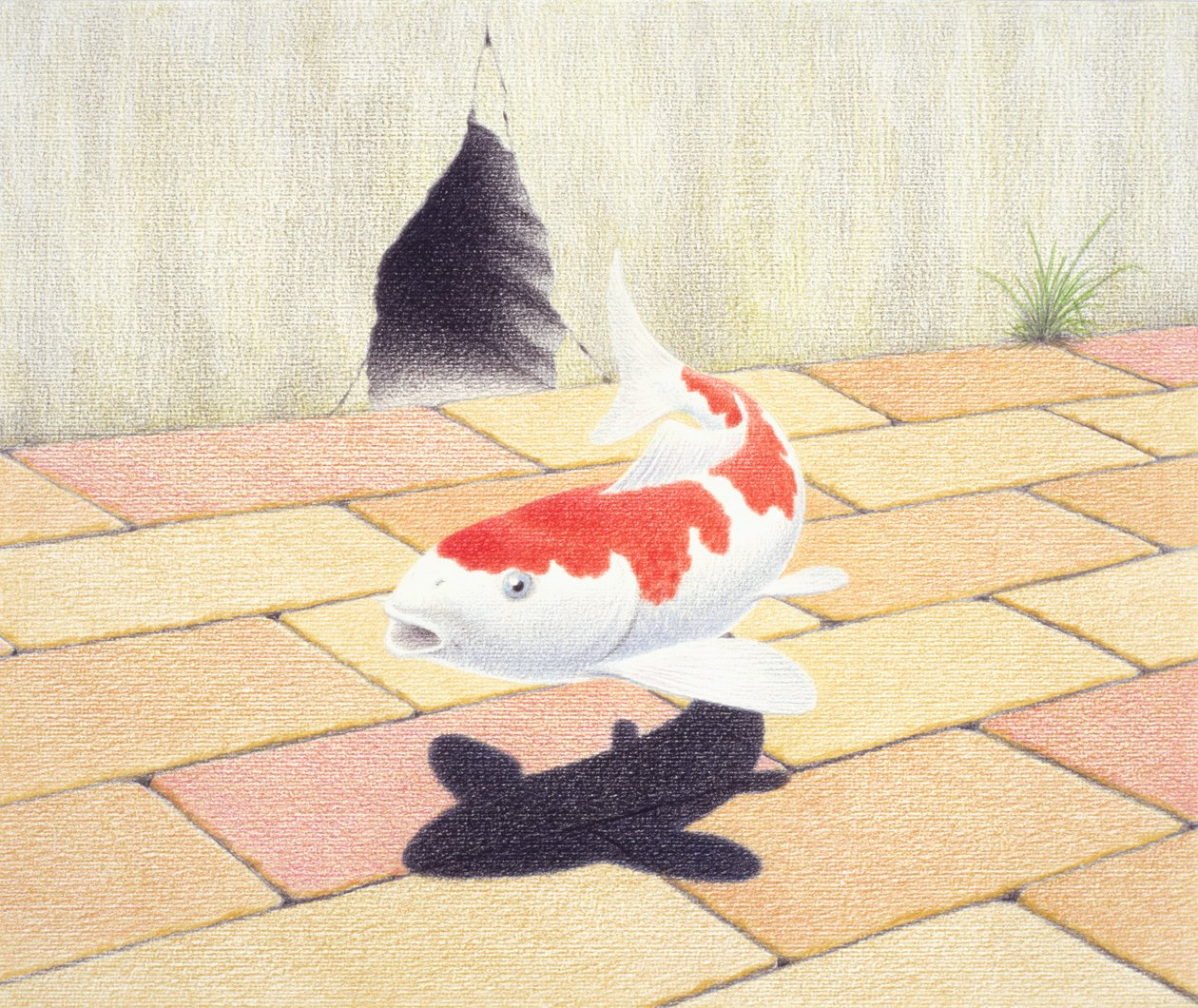 Talep etmek by Rene Boin