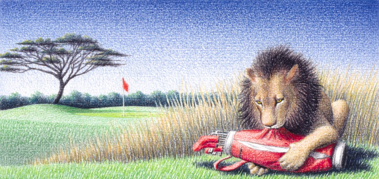 Aslan 2 by Rene Boin